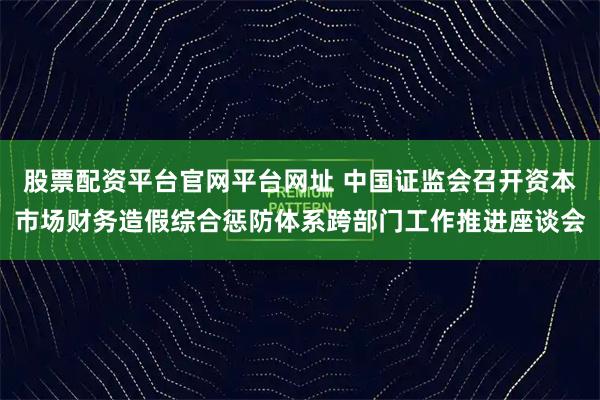 股票配资平台官网平台网址 中国证监会召开资本市场财务造假综合惩防体系跨部门工作推进座谈会